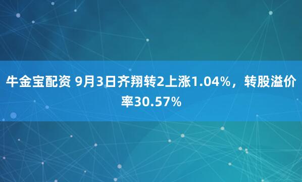 牛金宝配资 9月3日齐翔转2上涨1.04%，转股溢价率30.57%