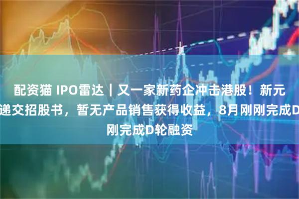 配资猫 IPO雷达｜又一家新药企冲击港股！新元素药业递交招股书，暂无产品销售获得收益，8月刚刚完成D轮融资