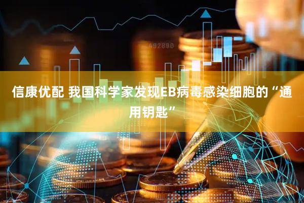 信康优配 我国科学家发现EB病毒感染细胞的“通用钥匙”
