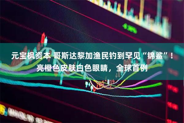 元宝枫资本 哥斯达黎加渔民钓到罕见“锦鲨”！亮橙色皮肤白色眼睛，全球首例