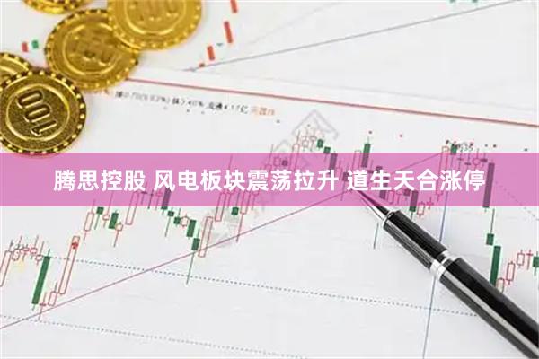 腾思控股 风电板块震荡拉升 道生天合涨停