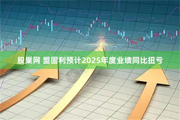 股巢网 盟固利预计2025年度业绩同比扭亏
