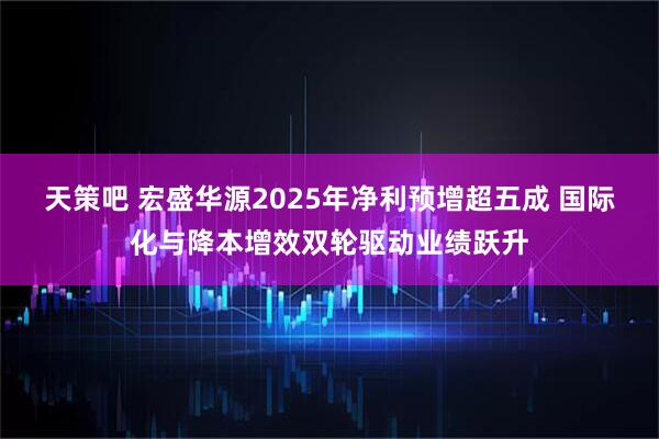 天策吧 宏盛华源2025年净利预增超五成 国际化与降本增效双轮驱动业绩跃升