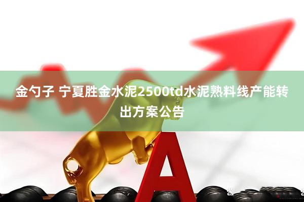 金勺子 宁夏胜金水泥2500td水泥熟料线产能转出方案公告
