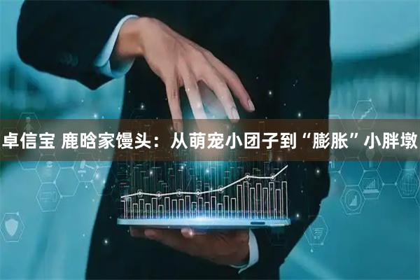 卓信宝 鹿晗家馒头：从萌宠小团子到“膨胀”小胖墩