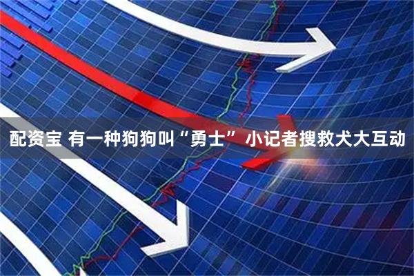 配资宝 有一种狗狗叫“勇士” 小记者搜救犬大互动