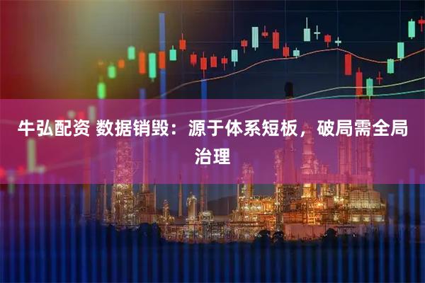 牛弘配资 数据销毁：源于体系短板，破局需全局治理