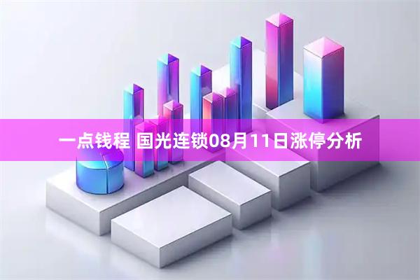一点钱程 国光连锁08月11日涨停分析